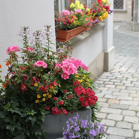 Otel Am Rathaus 3*