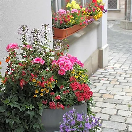 Am Rathaus 3*